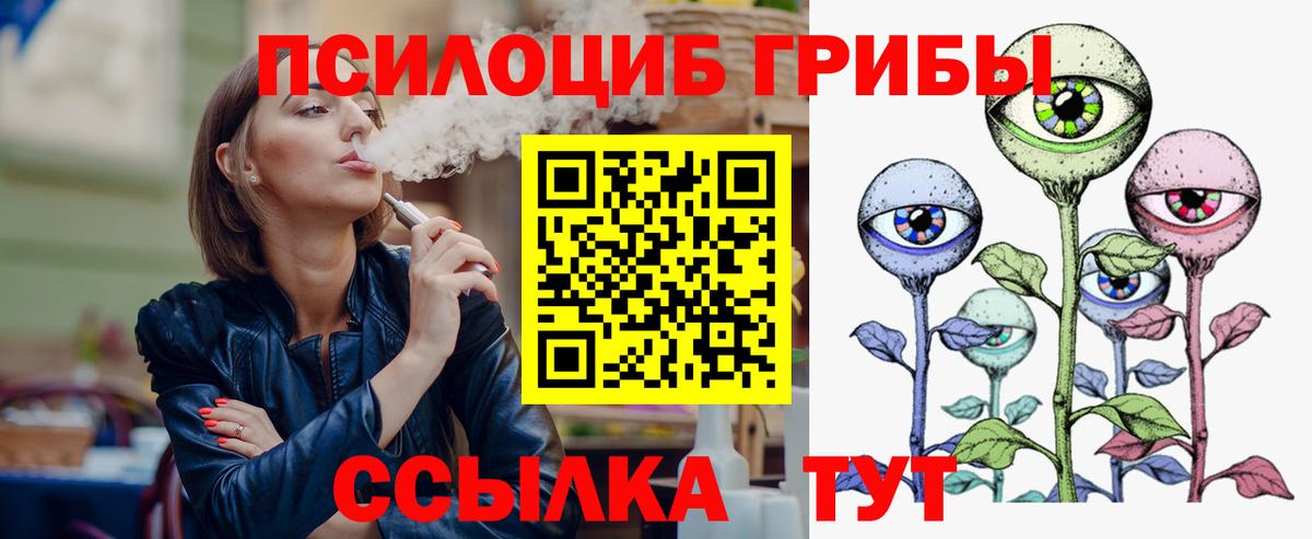 Псилоцибиновые грибы Cubensis Богородск