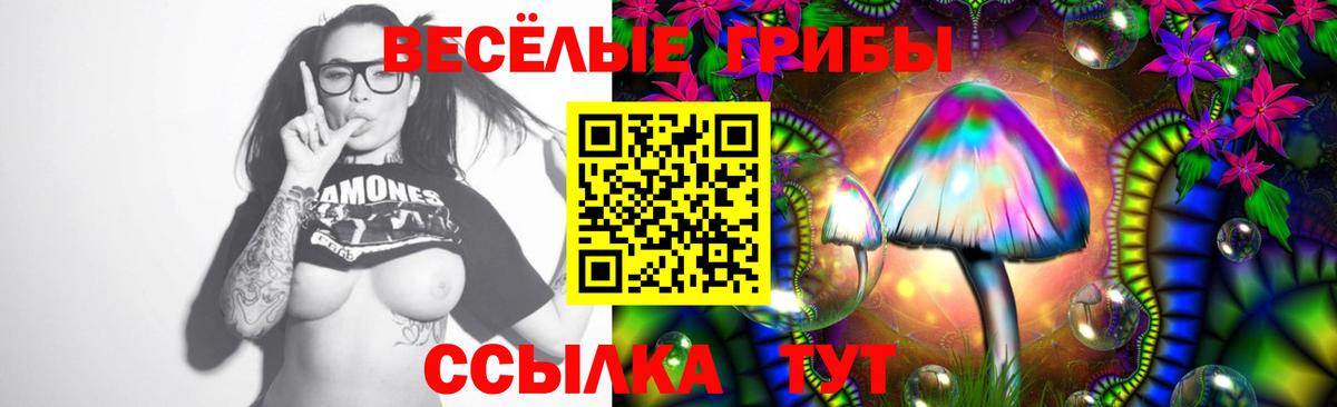 Псилоцибиновые грибы ЛСД  цена наркотик  Богородск  Вход с VPN 